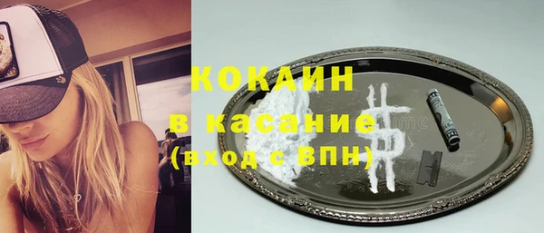винт Лагань