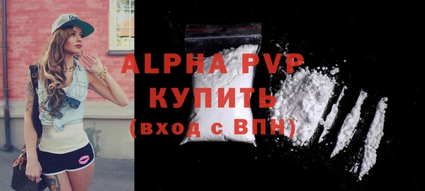винт Лагань