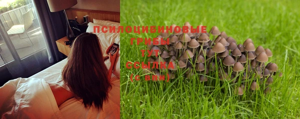 винт Лагань