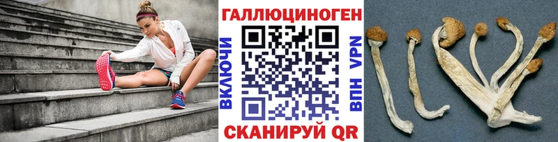 Псилоцибиновые грибы MAGIC MUSHROOMS  Купить где  Волгодонск 